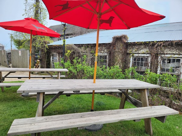 The Black Dog Tavern