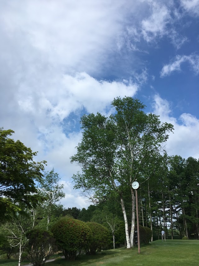 Kashima Minami Tateshina Golf Course - Photo 9