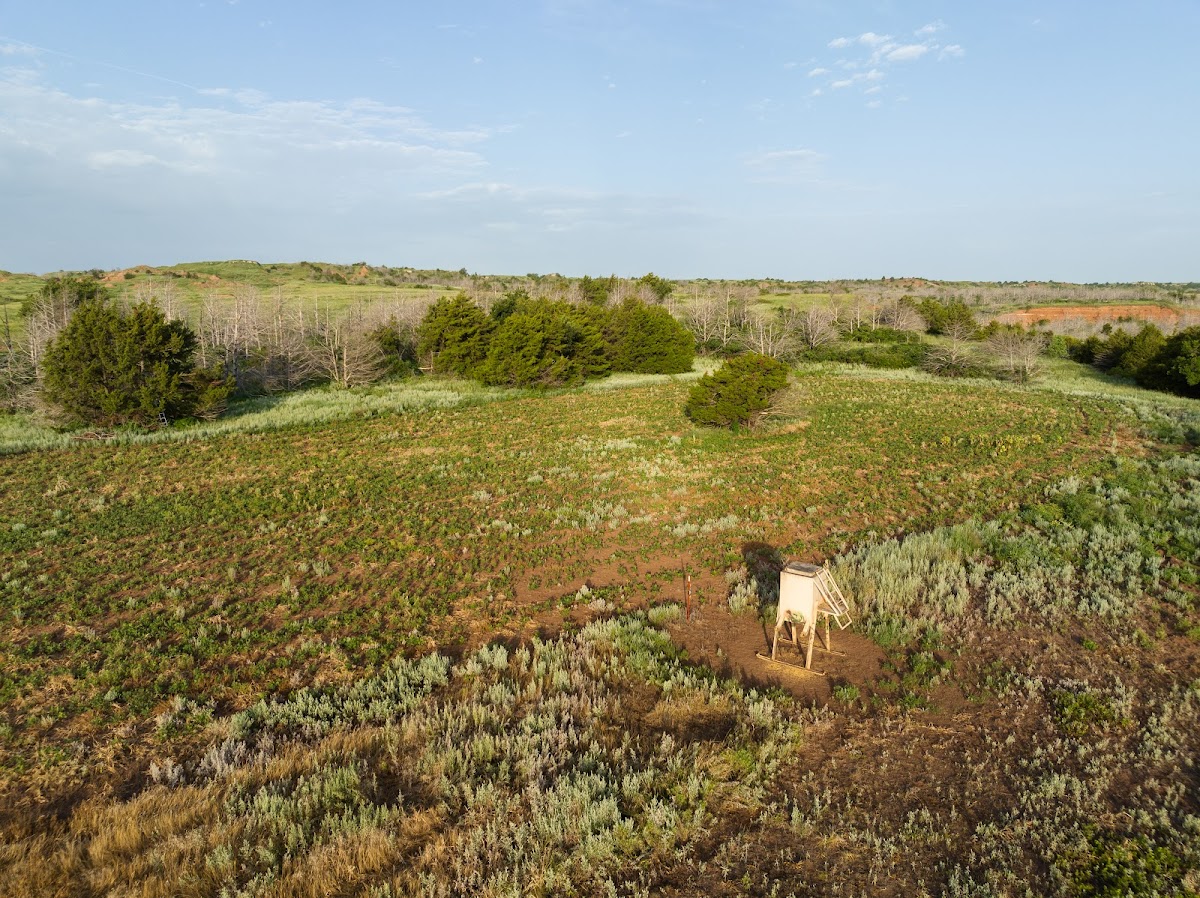 Moon Ranch
