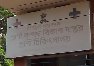 Cattle hospital - Image 2
