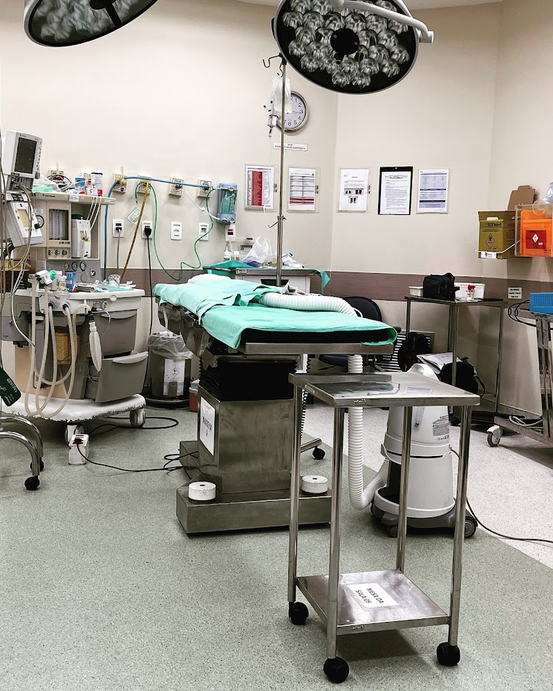 Dra Carla Martins Odontopediatra - foto 4