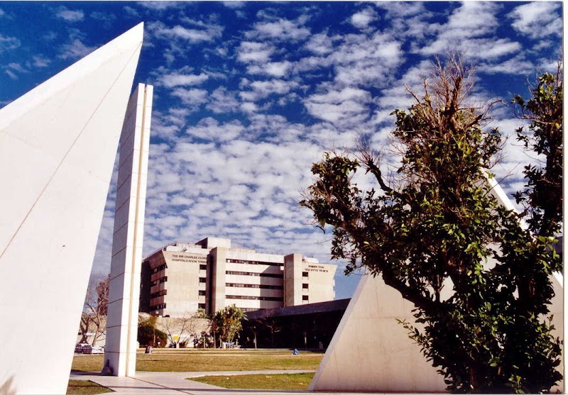 Gallery 1