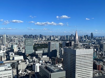 Tokyo Metropolitan Government Building - 3