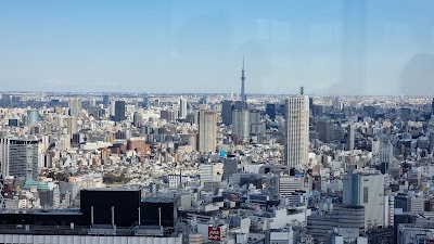 Tokyo Metropolitan Government Building - 2