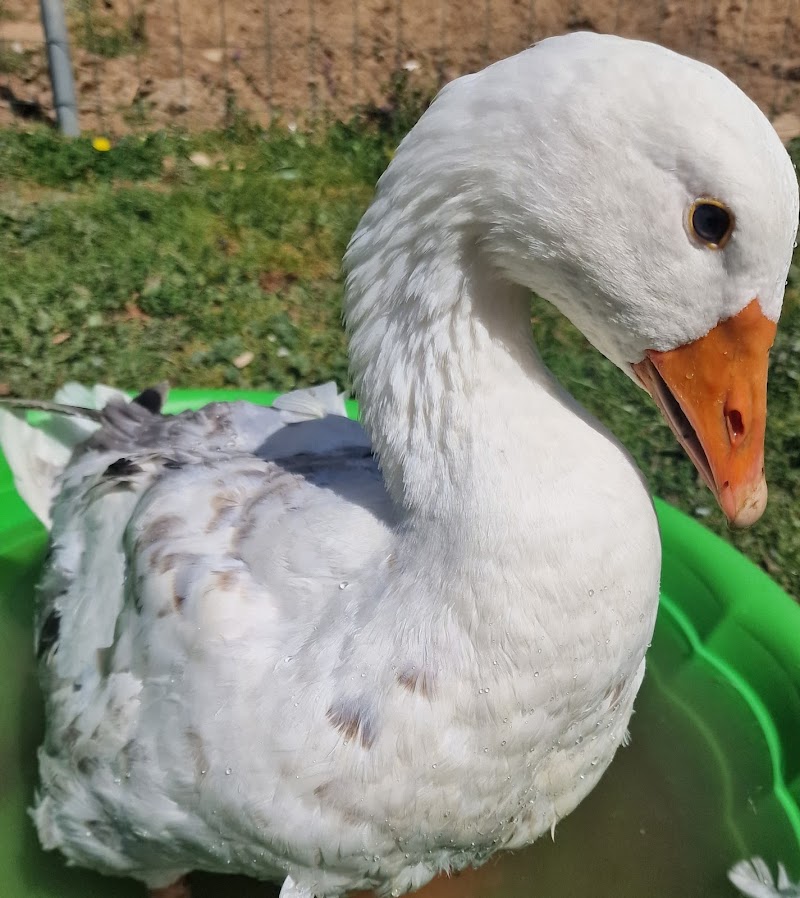 Centro Veterinario Villaobispo