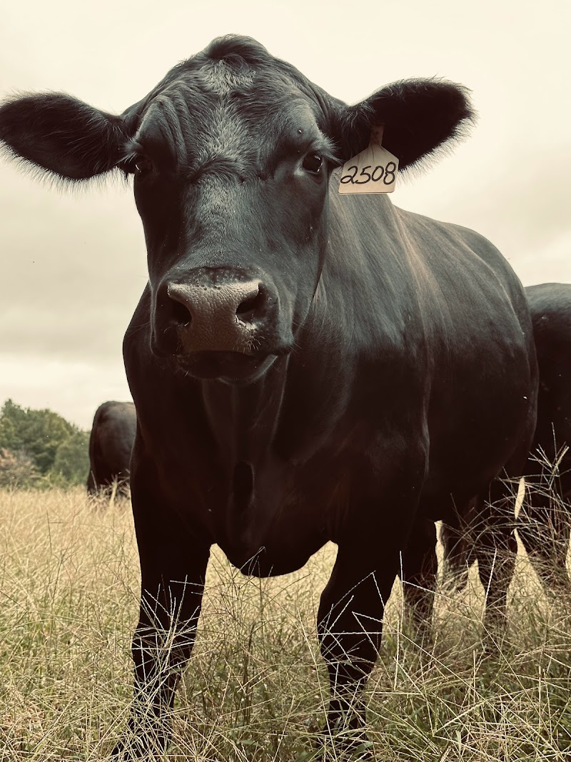 Geary Farms Local Beef - Photo 2