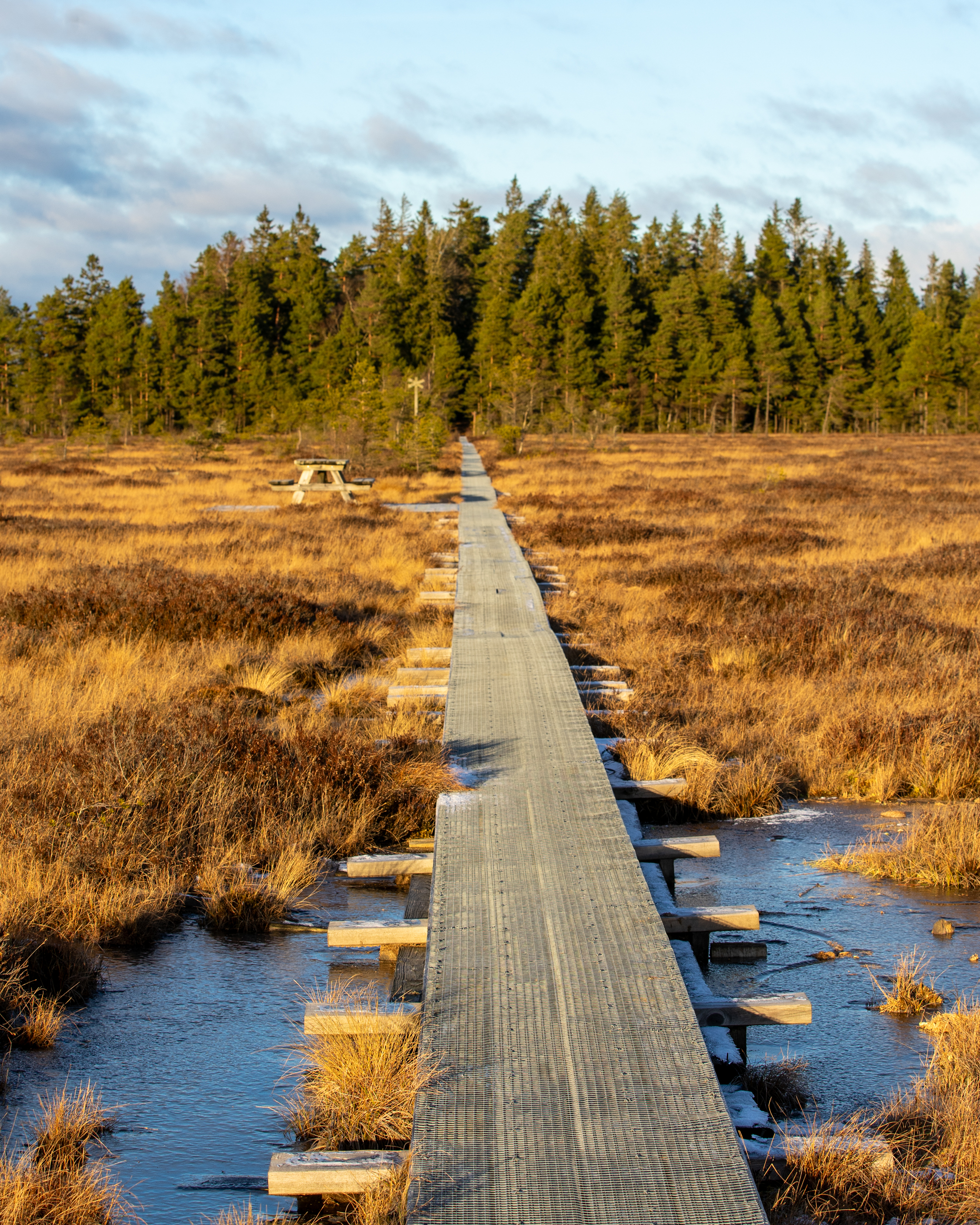 Komosse Naturreservat