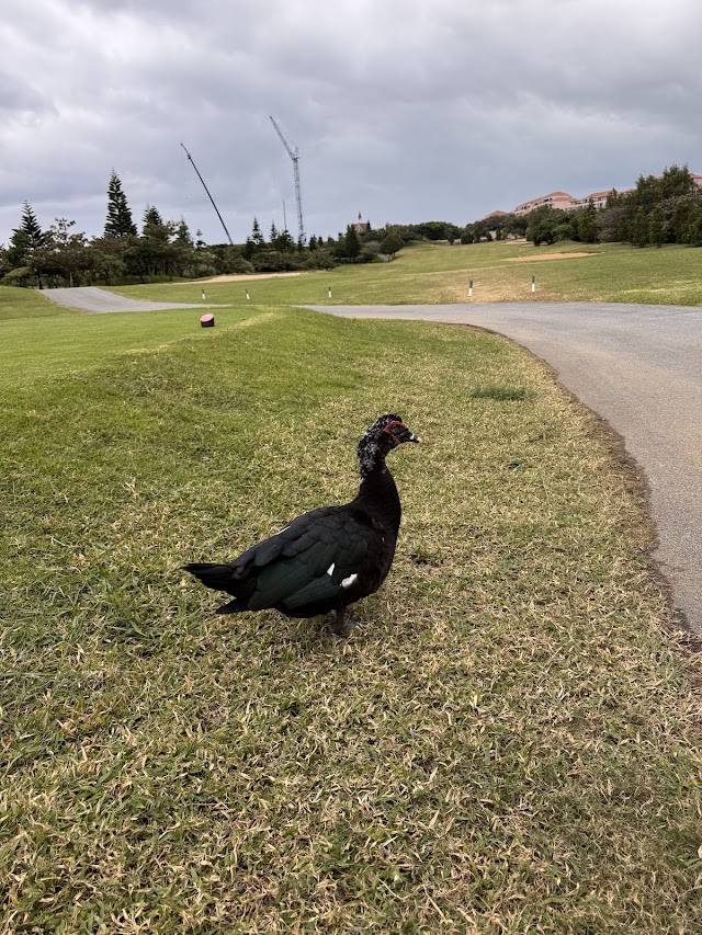 Shigira Bay Country Club - Photo 8