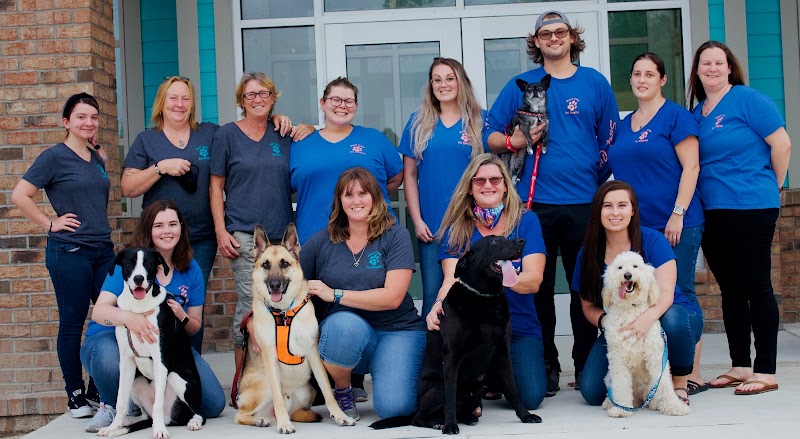 Surf City Pet Hospital