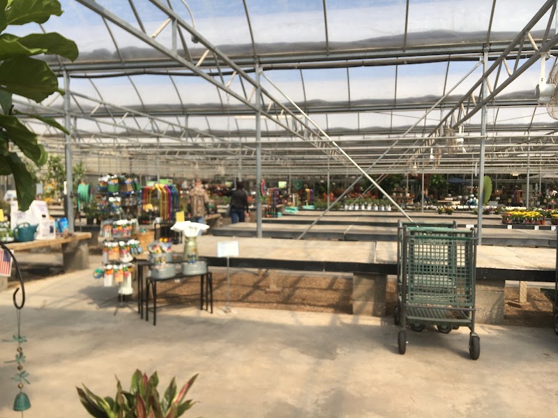 Alldredge Gardens photo 3