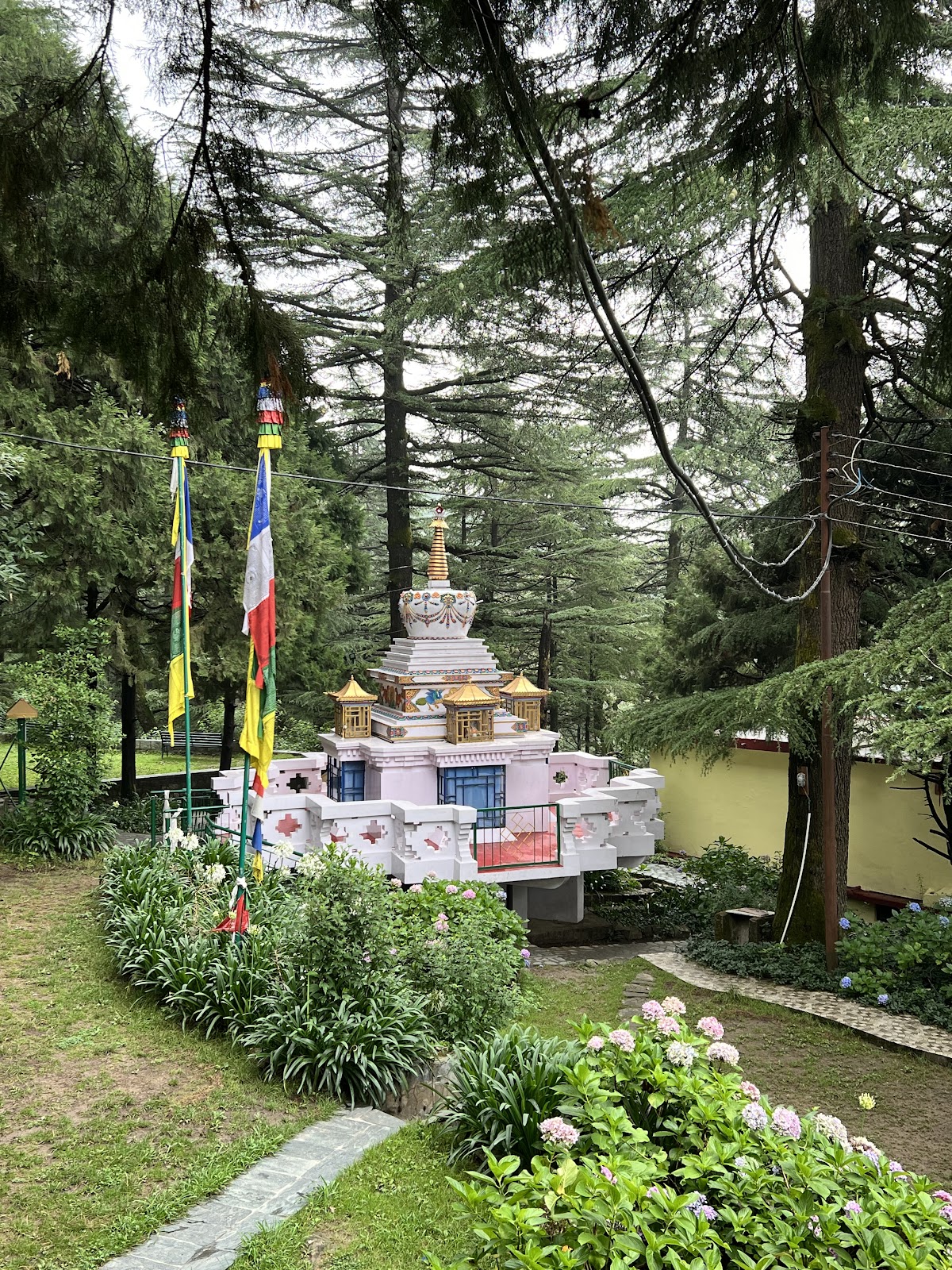 Tushita Meditation Centre