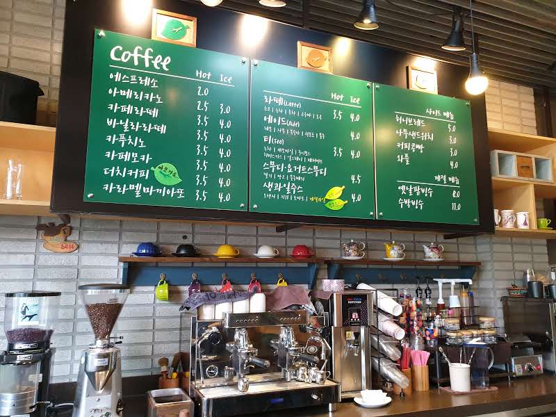 카페나무 사진 4