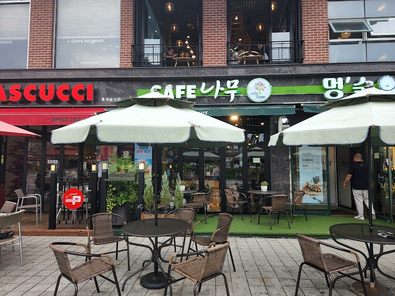 카페나무 반려동물 동반 카페