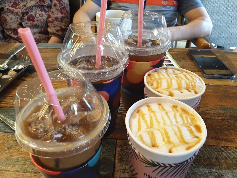 카페나무 사진 5