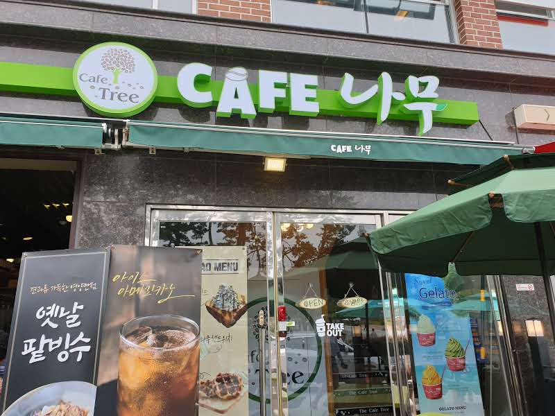 카페나무 사진 3