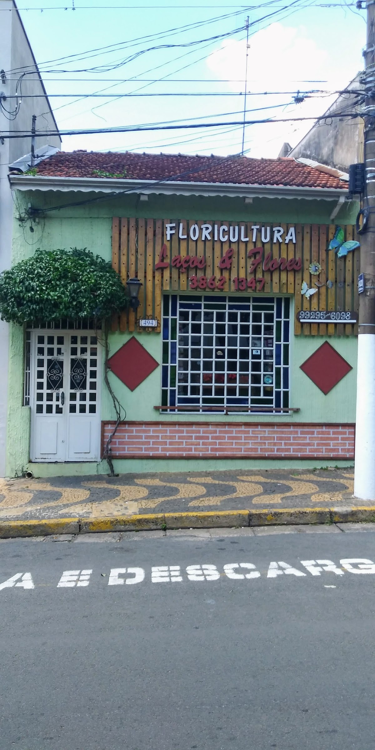 Floricultura Laços & Flores