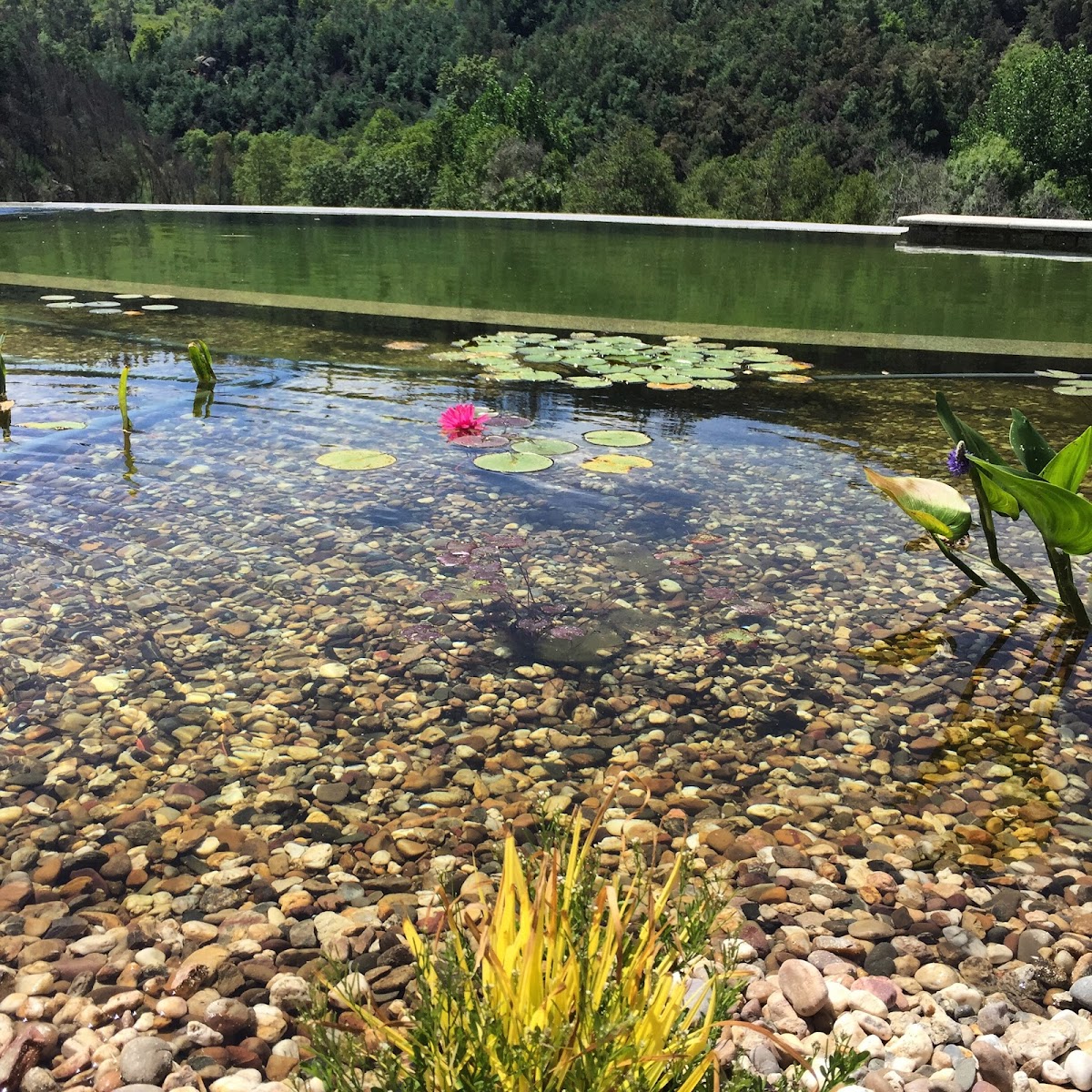 Cara Creek Eco Lodge