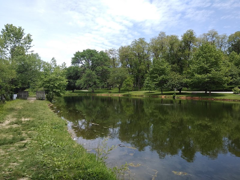 Anson B. Nixon Disc Golf Course photo 4