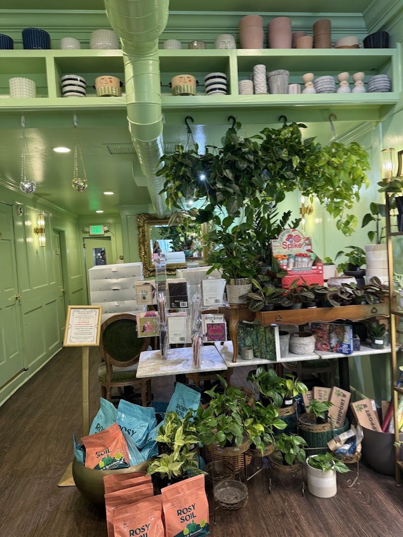 The Ground Rittenhouse photo 4