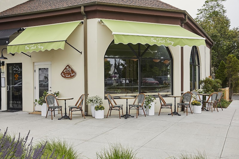 One Trick Pony photo 3