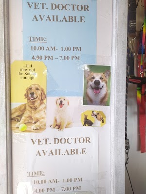 Tin Tin, Veterinary Care Clinic, Mirmir, Pasighat, A.P - Image 3