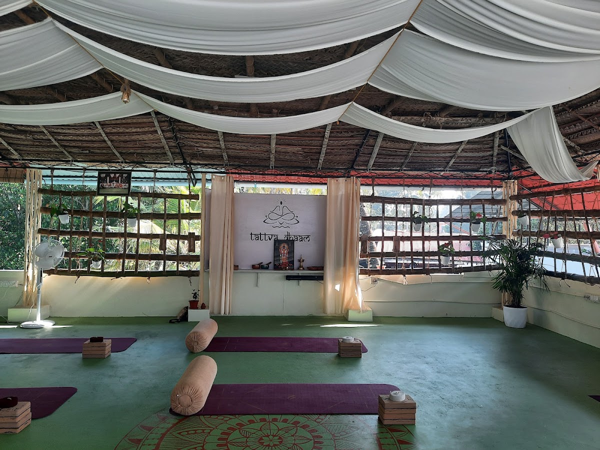 Tattva Dhaam school of Yoga & wellness — 3