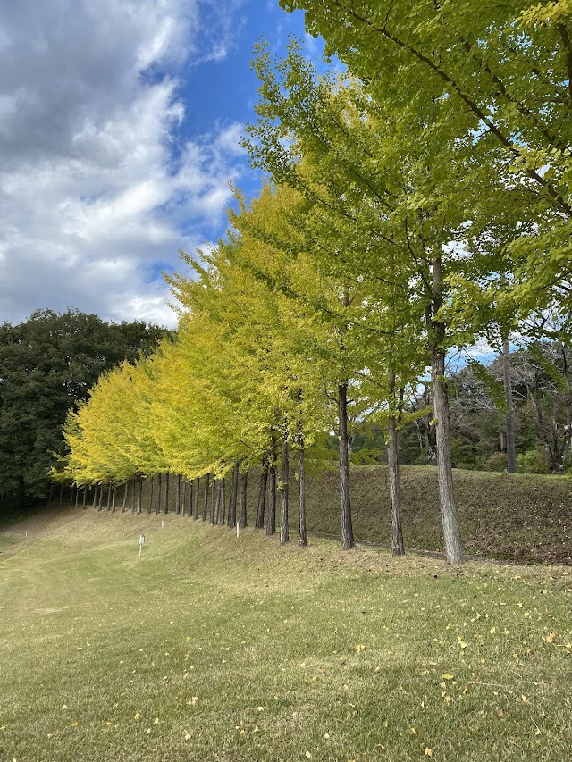 Line Hill Golf Club - Photo 10