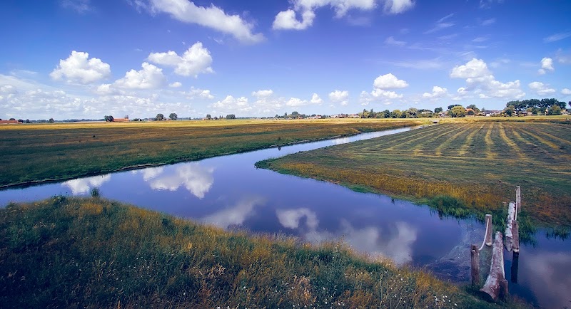 Natuurgebied Bovendijk