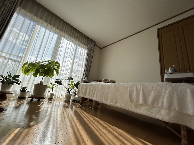 美容鍼×ナノミストサウナ熊本 かわいえ鍼灸サロン 2