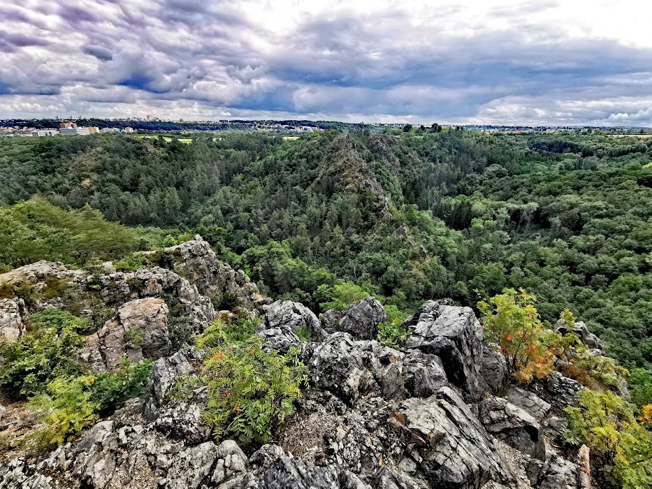 Přírodní park Šárka - Lysolaje fotoğraf 1