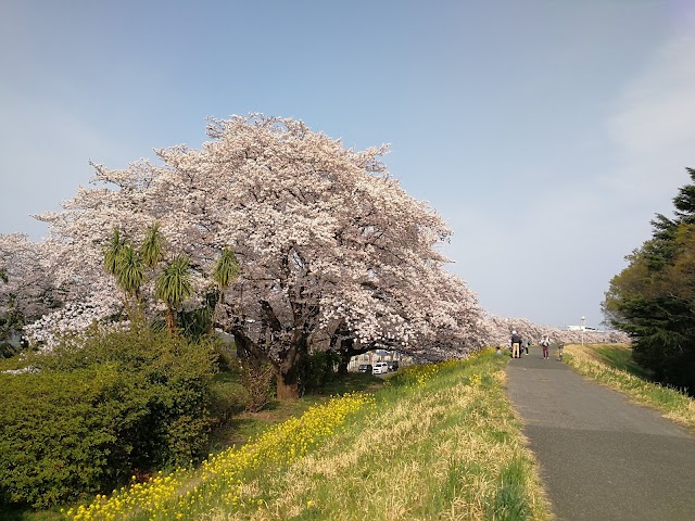 Kumagaya Golf Club - Photo 2
