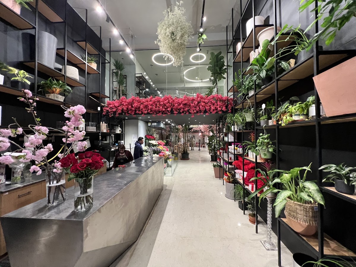 Ariston Flowers: Google Places image 5