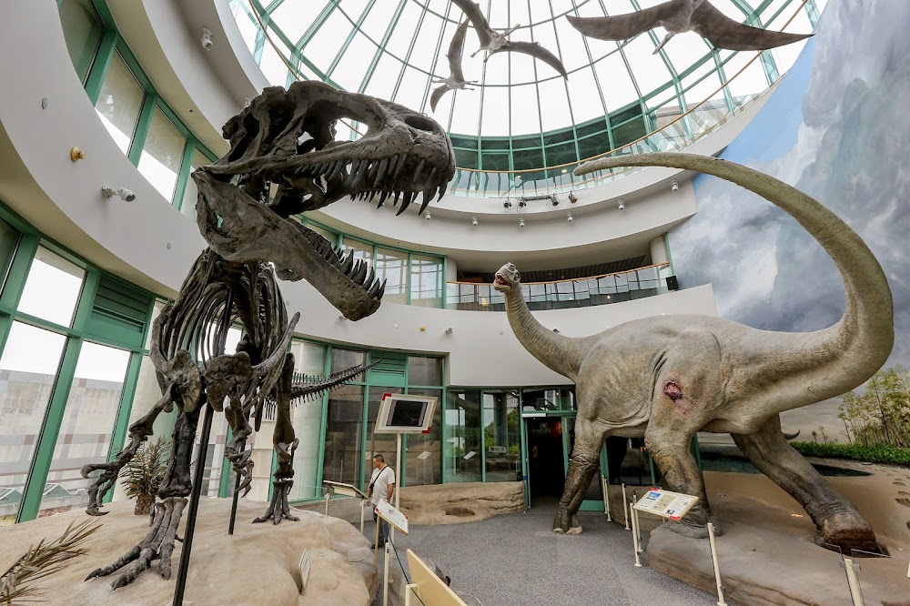 North Carolina Museum of Natural Sciences fotoğraf 1