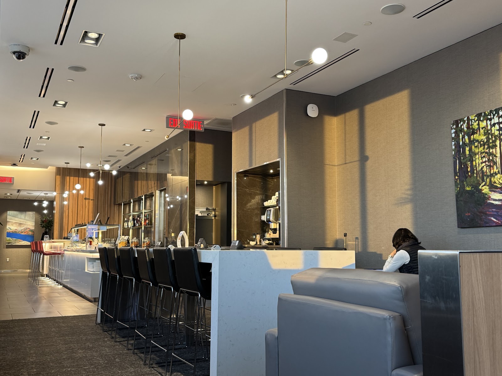 Air Canada Maple Leaf Lounge — photo 1 (via Google)