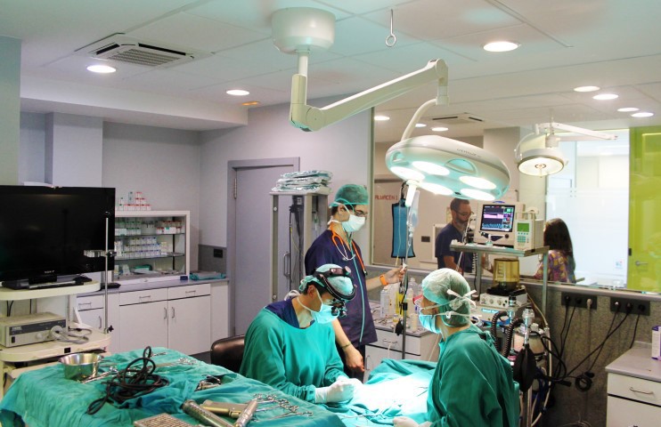 Veterinary Surgical Center A Chico photo 5