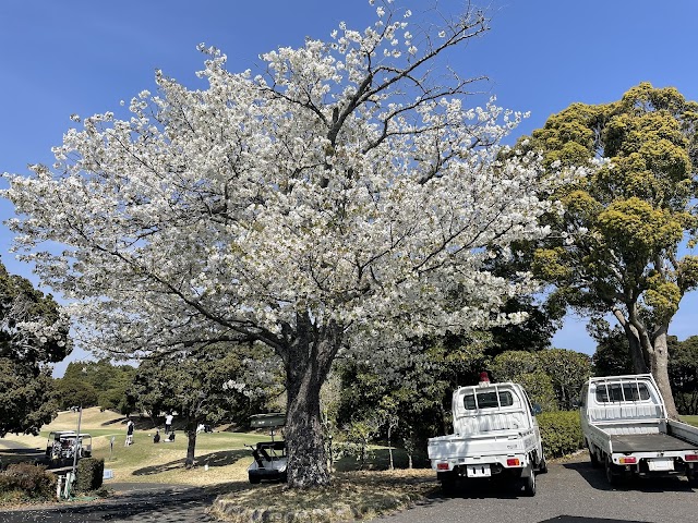 Ichinomiya Country Club - Photo 10