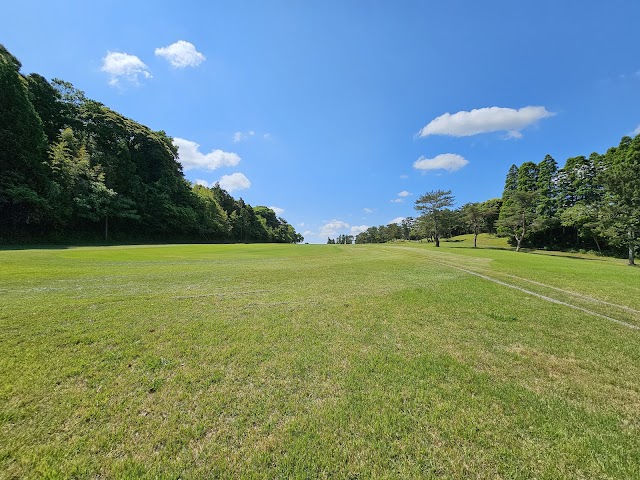 Ichinomiya Country Club - Photo 1