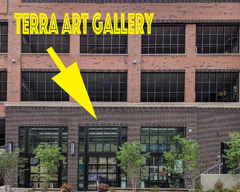 Terra Gallery & Creative Studio