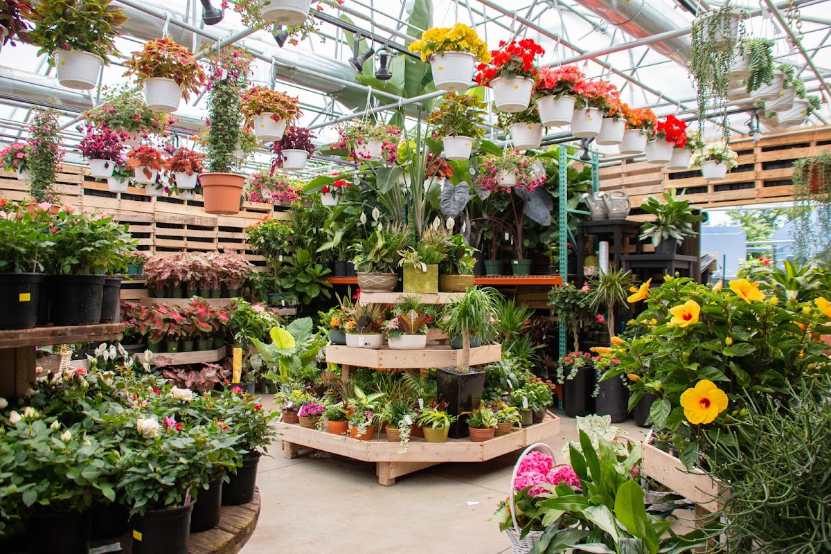 QG Floral & Landscape: Google Places image 2