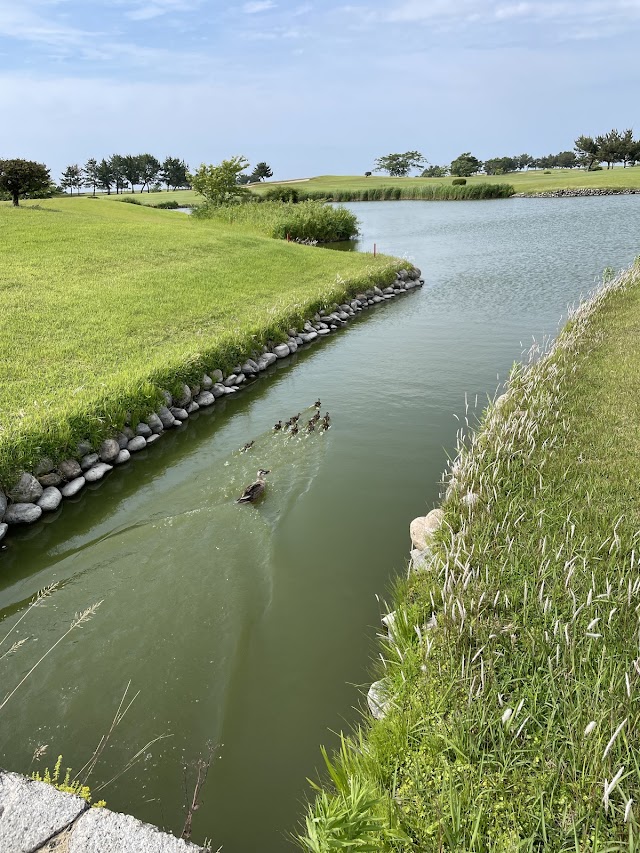 Kanazawa Links Golf Club - Photo 5