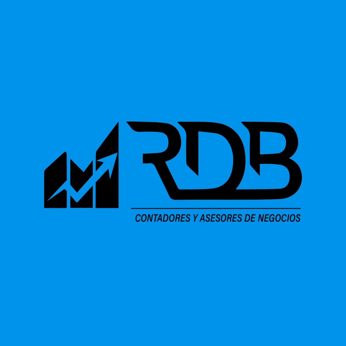 RDB Consultores SRL, Contadores - Imagen 1