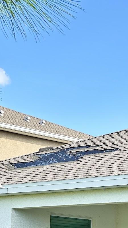 Protek Roofing & Solar photo 3