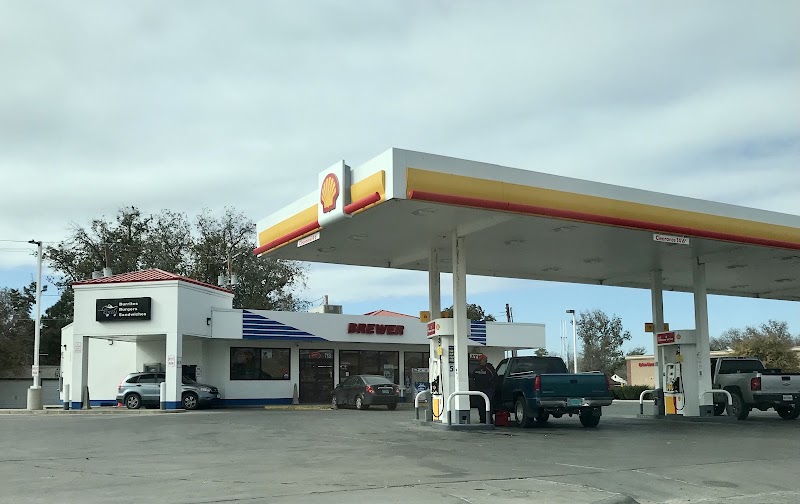Shell photo 4