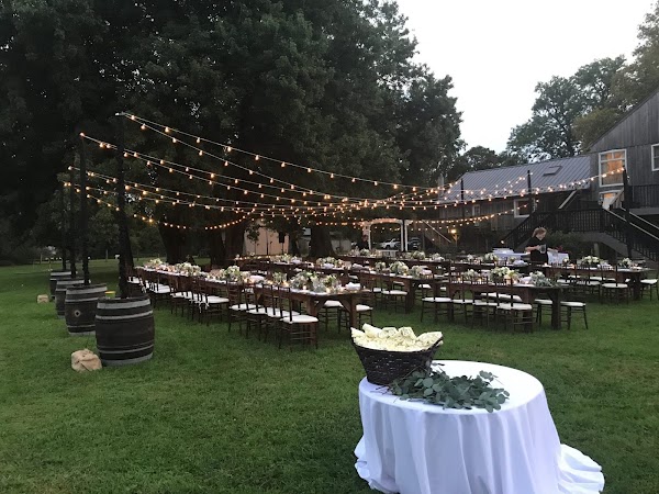 2020 Party Rentals portfolio