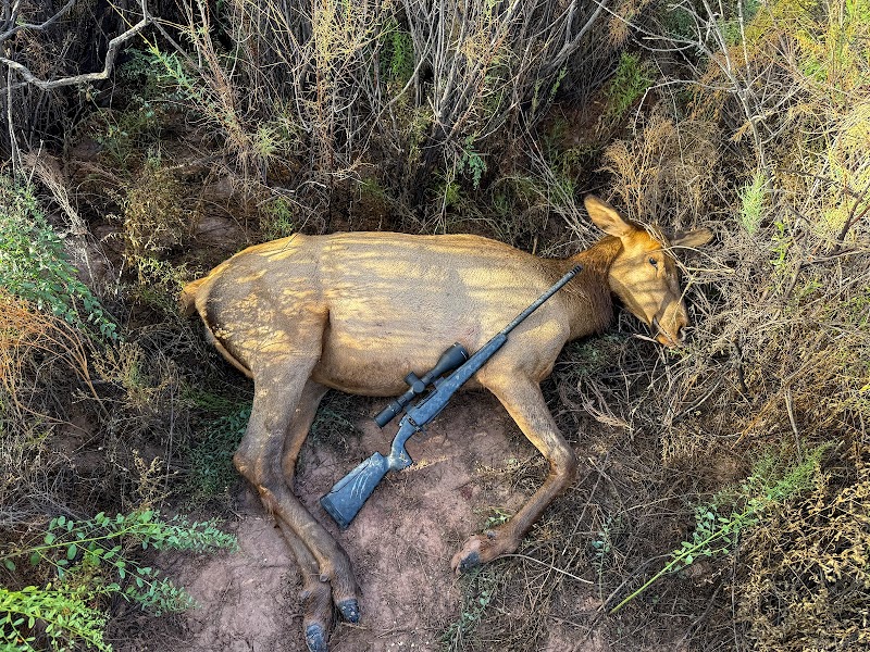 Arizona Outfitters, LLC - Photo 5