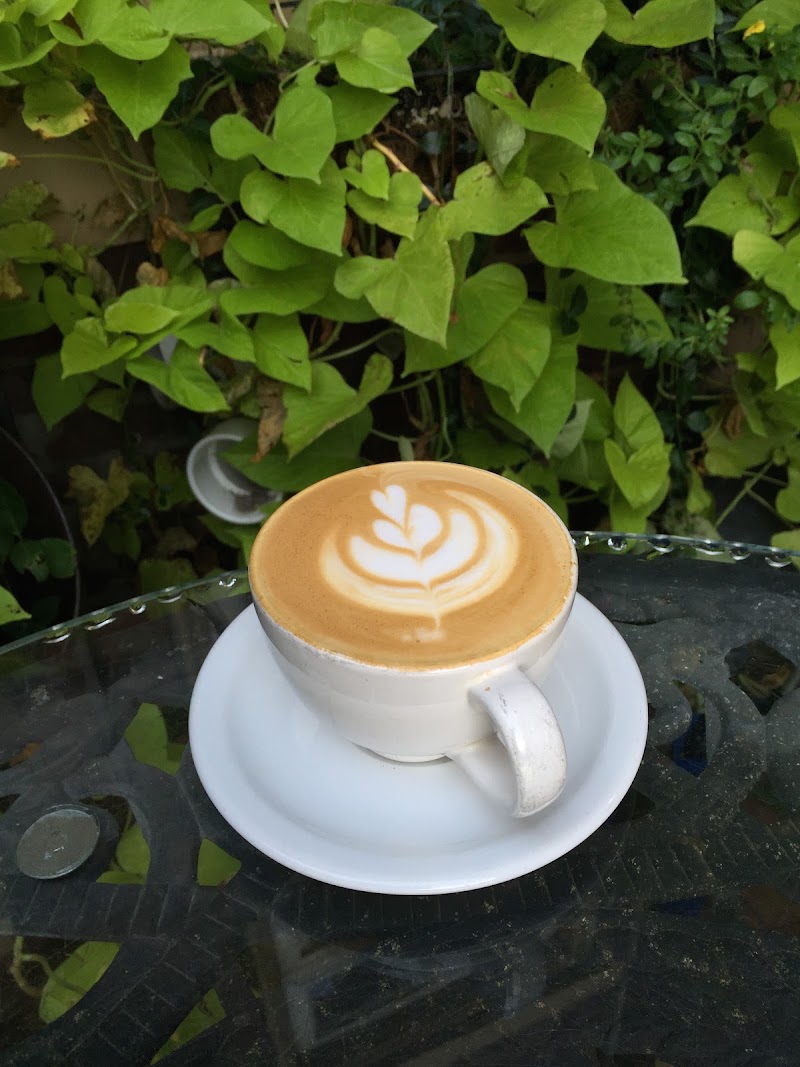Big Dog Coffee photo 3