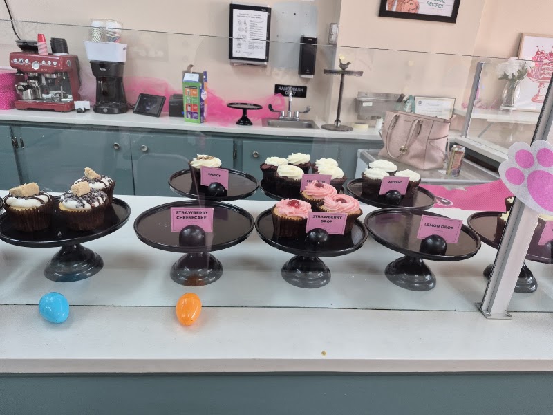 Smallcakes Cupcakery & Creamery Griffin photo 4