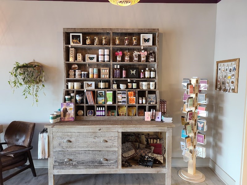 Luna's Coffee, Wine, and Butterfly Cafe photo 1