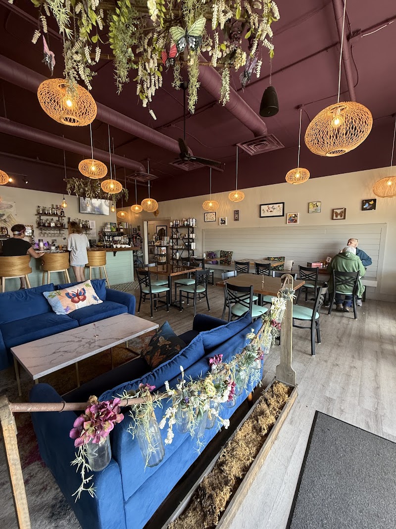 Luna's Coffee, Wine, and Butterfly Cafe photo 4