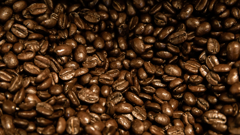 Soco Coffee Company photo 2